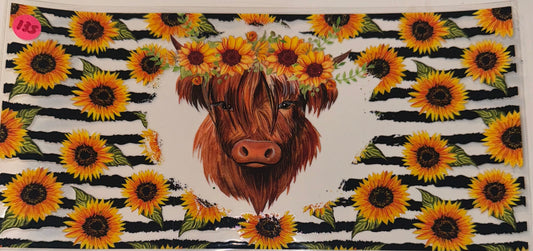 Sunflower highland cow